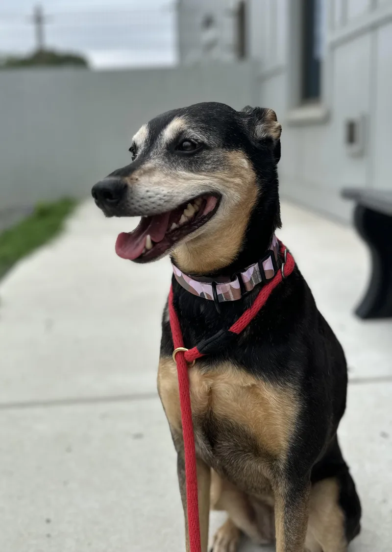 Zoe