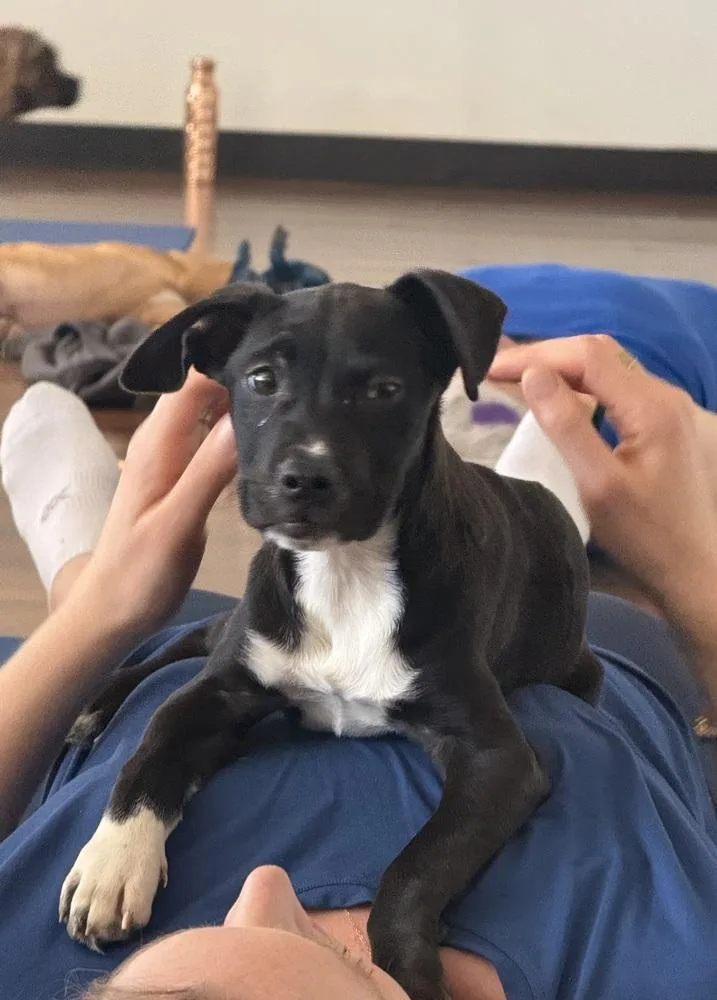 Miniturn thumbnail 2