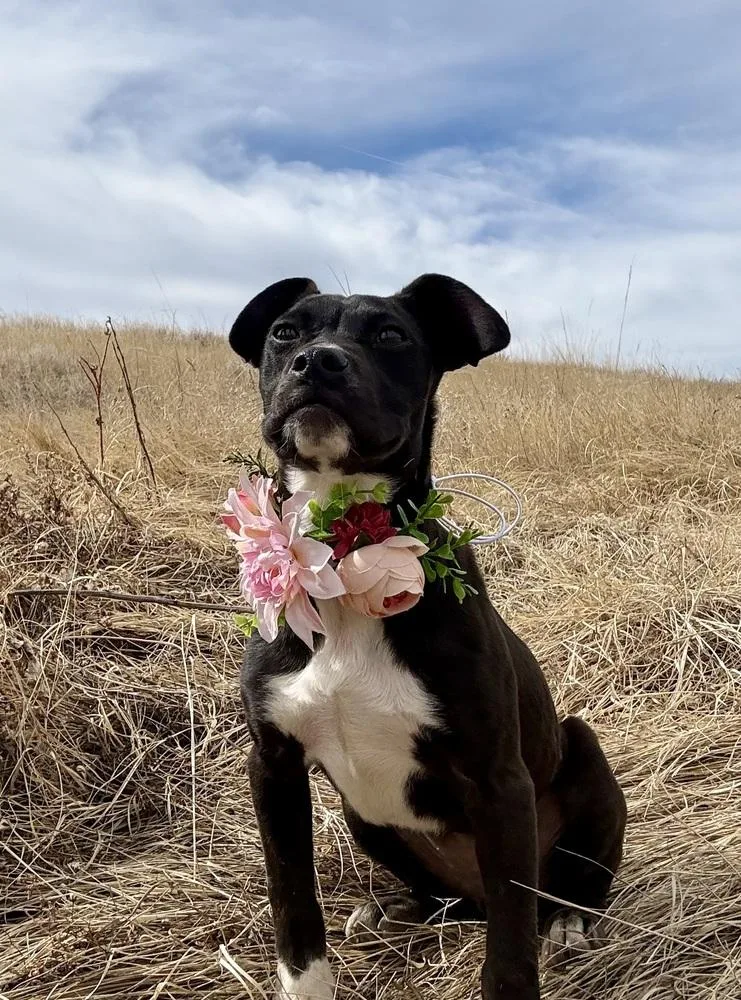 Miniturn thumbnail 3