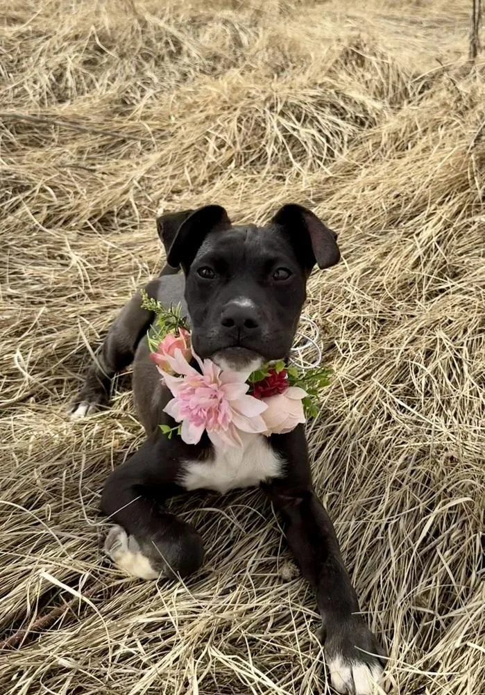 Miniturn thumbnail 5