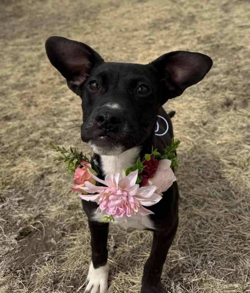 Miniturn thumbnail 6