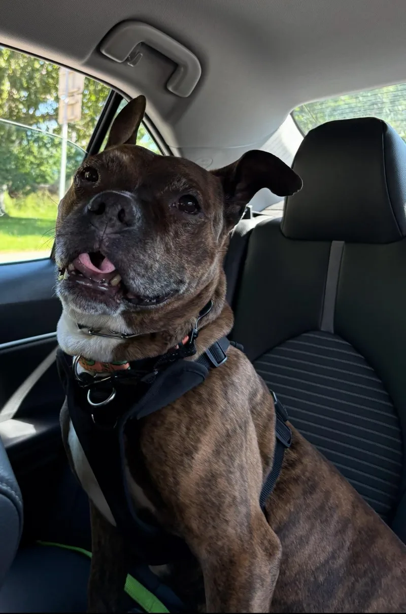 Lenny thumbnail 6