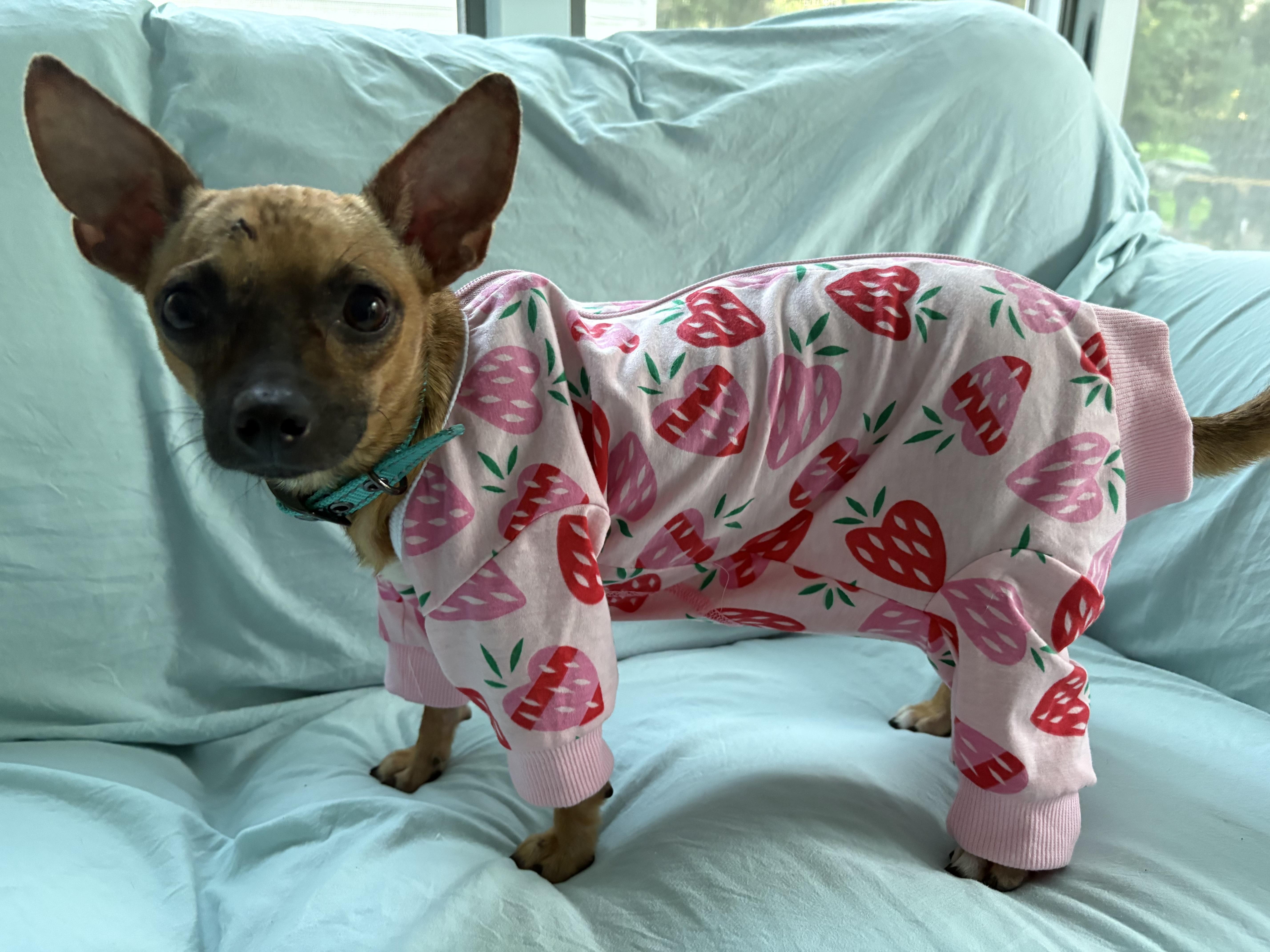 Missy thumbnail 4
