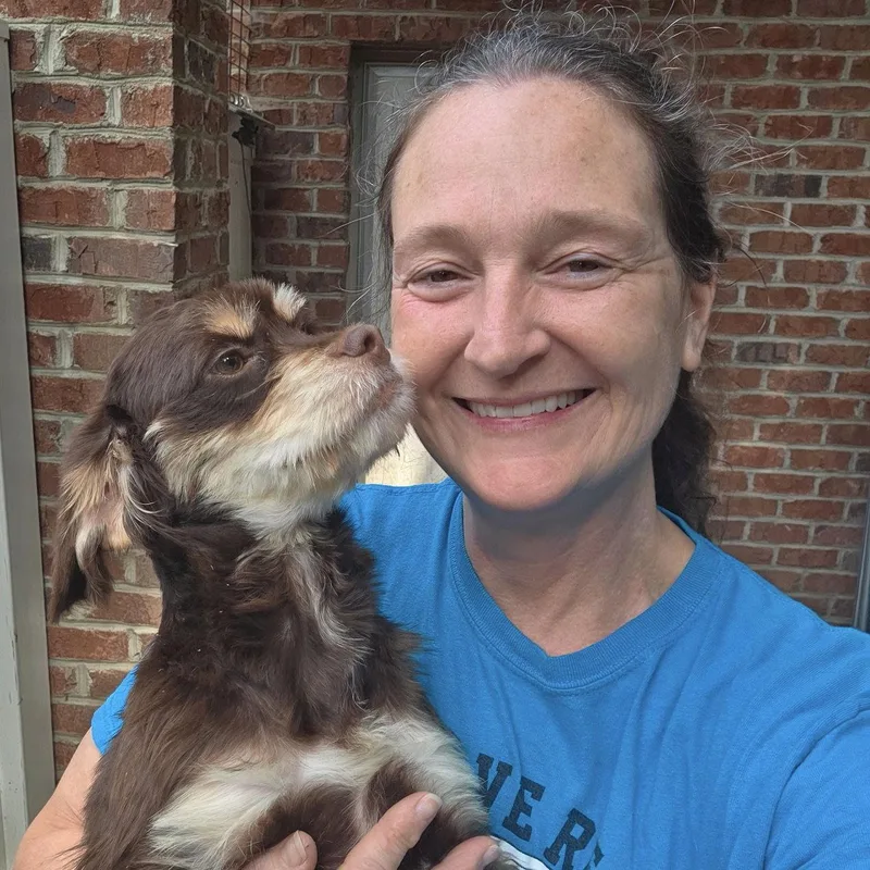 A young small-sized male Spaniel dog named Caleb for adoption in Thomasville, NC