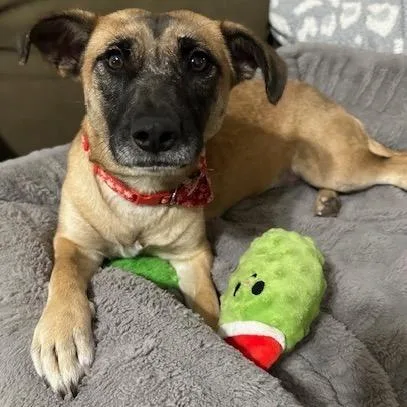 Smoothie thumbnail 2