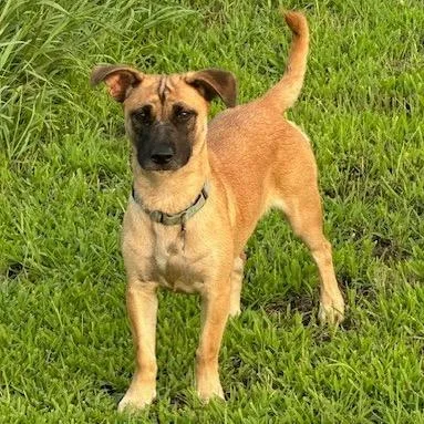 Smoothie thumbnail 3