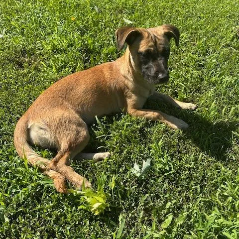 Smoothie thumbnail 5