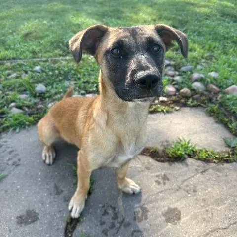 Smoothie thumbnail 6