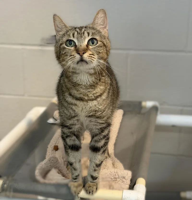 Lori Grimes thumbnail 2