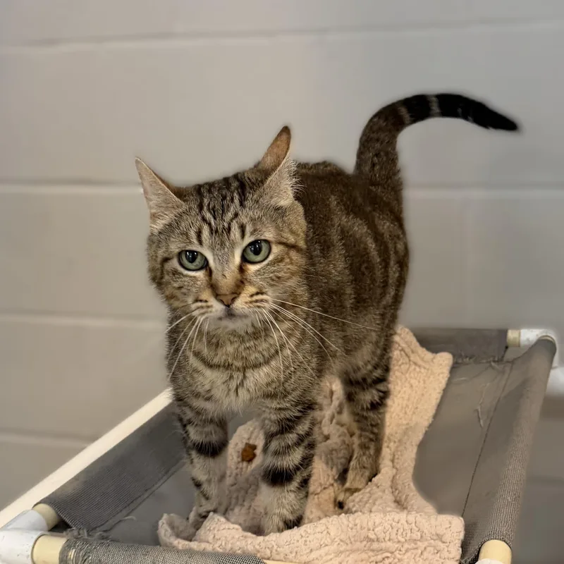 Lori Grimes thumbnail 3