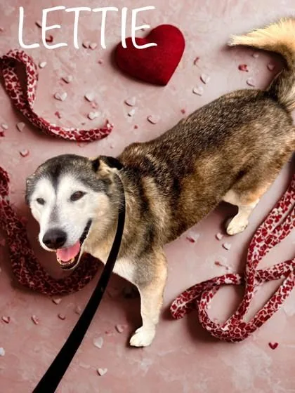 Lettie thumbnail 3