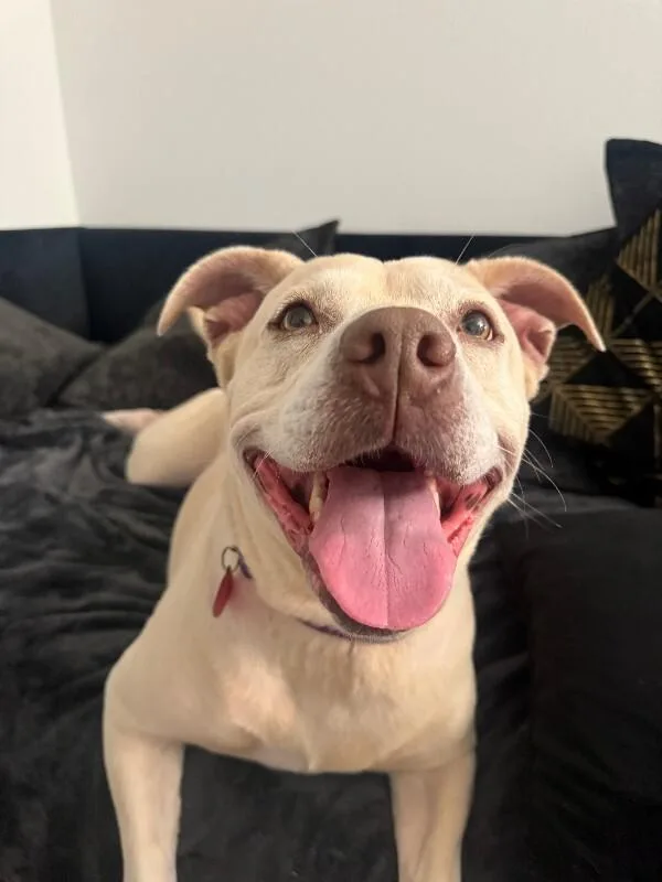 Daisy The Happy Family