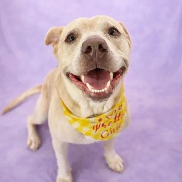 Daisy The Happy Family thumbnail 4