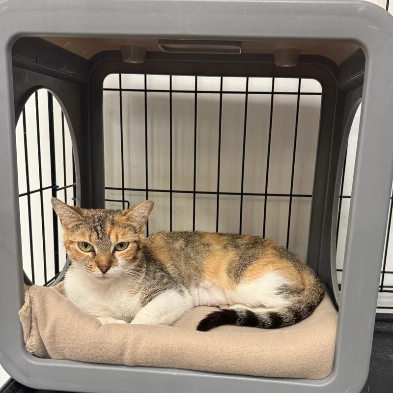 Sunshine thumbnail 2