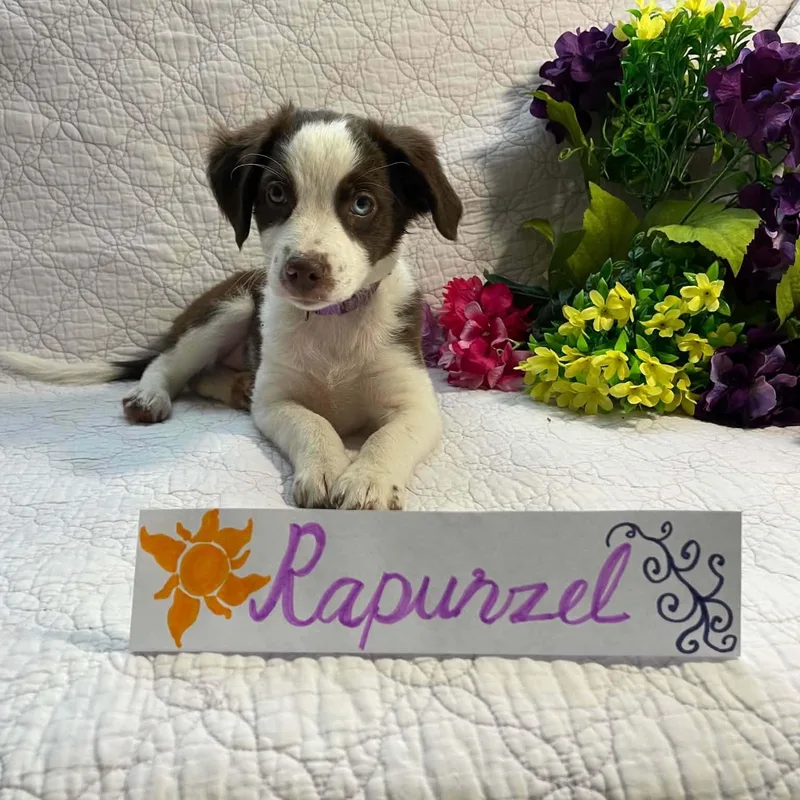 Rapunzel thumbnail 3