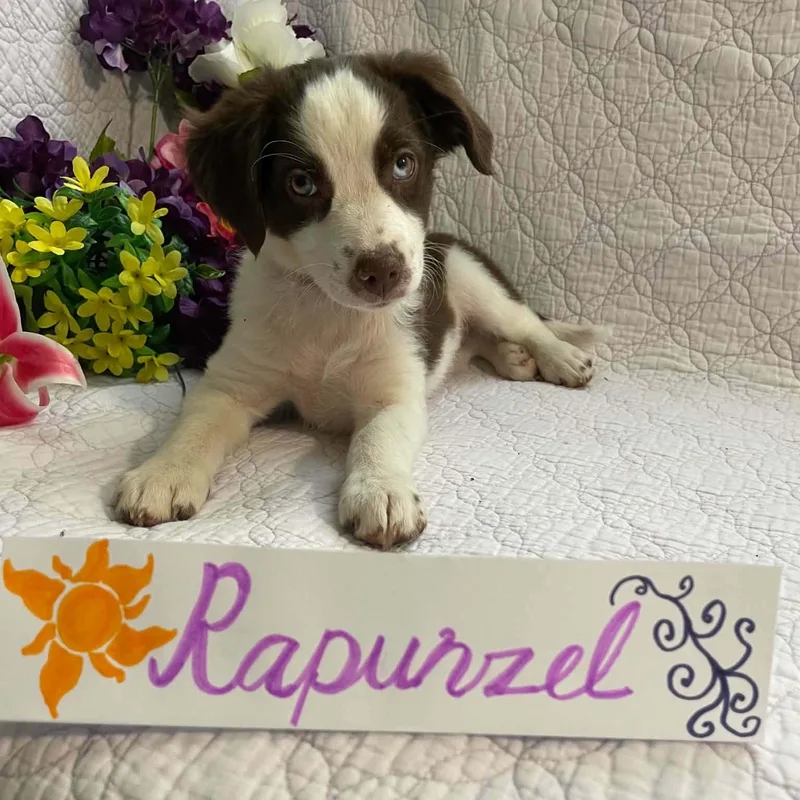 Rapunzel thumbnail 4