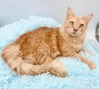 Winnette thumbnail 2