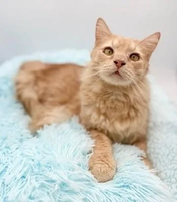 Winnette thumbnail 6