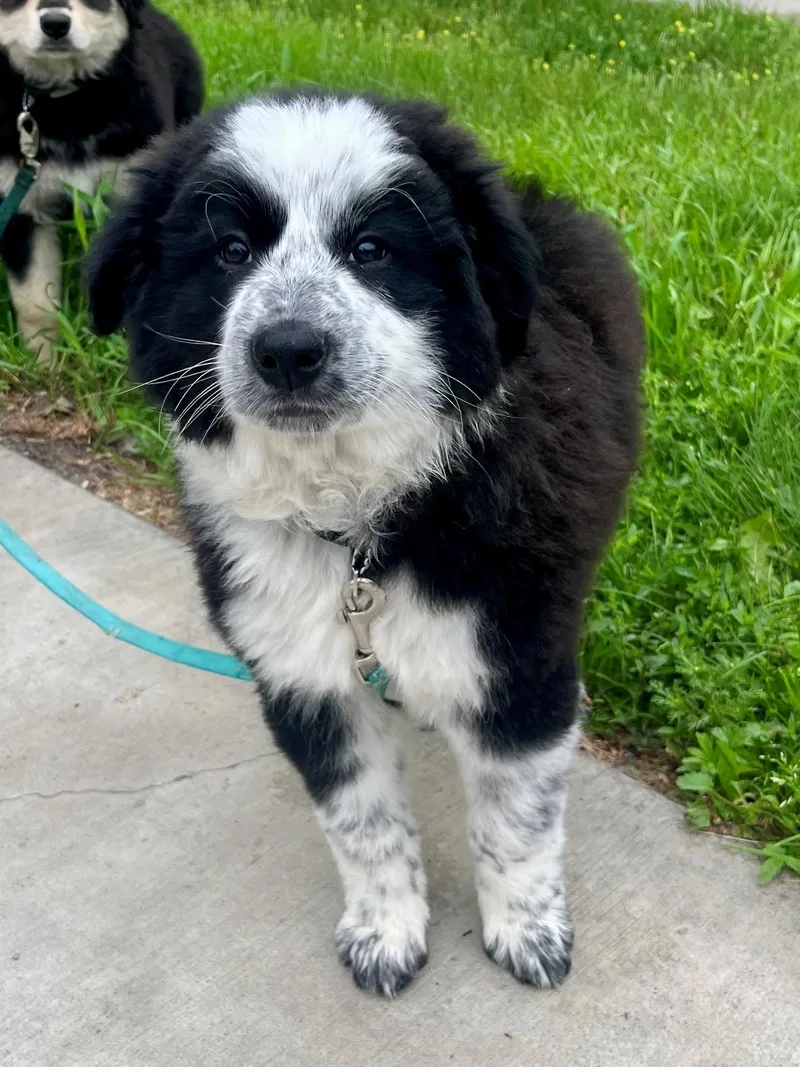 Winnie