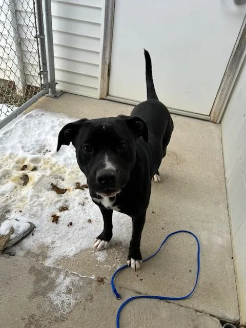 Ms. Winkles thumbnail 2