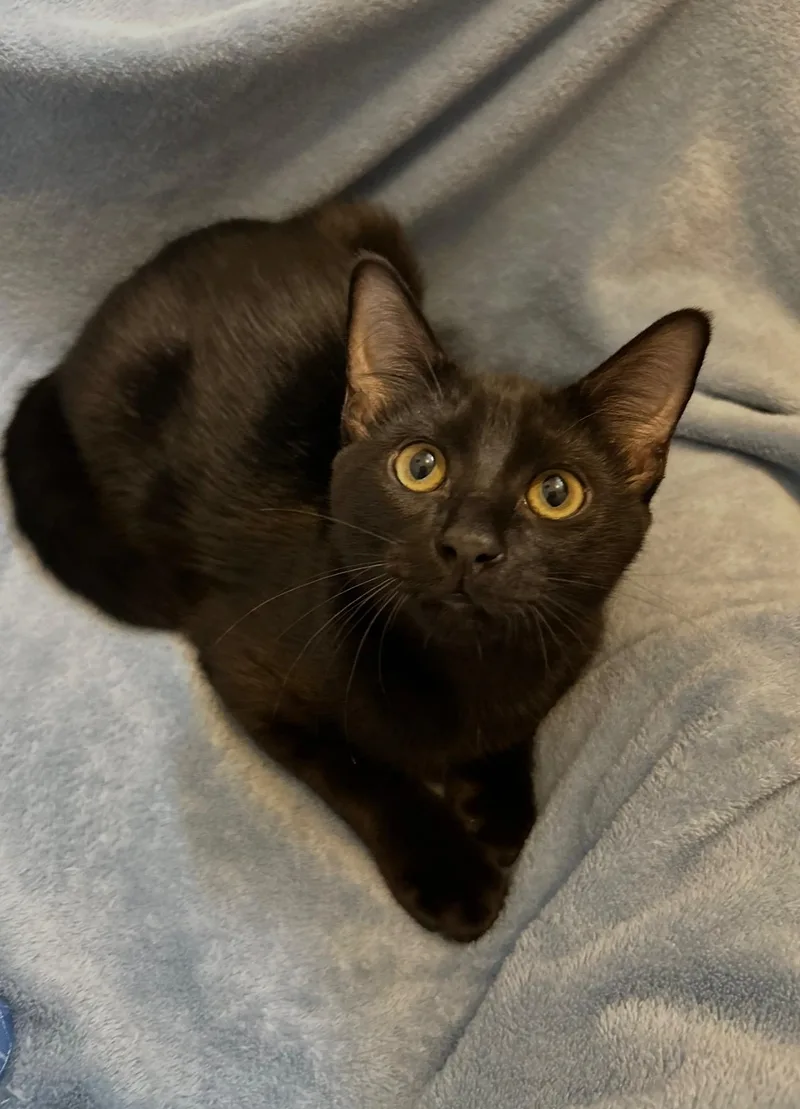 Remy And Tuck thumbnail 6