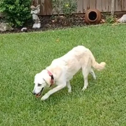 Heaven Sparkle thumbnail 2