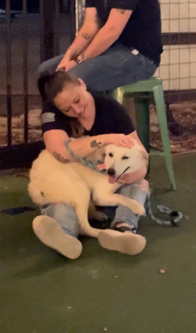 Heaven Sparkle thumbnail 3