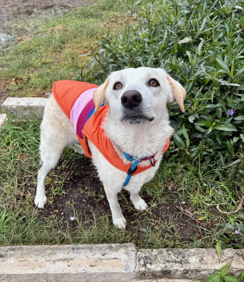 Heaven Sparkle thumbnail 4