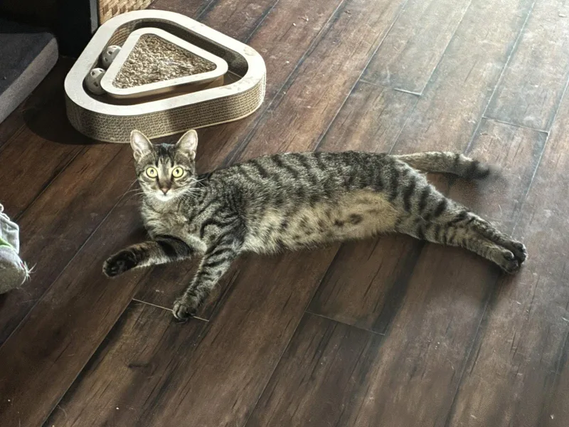 Rosie M