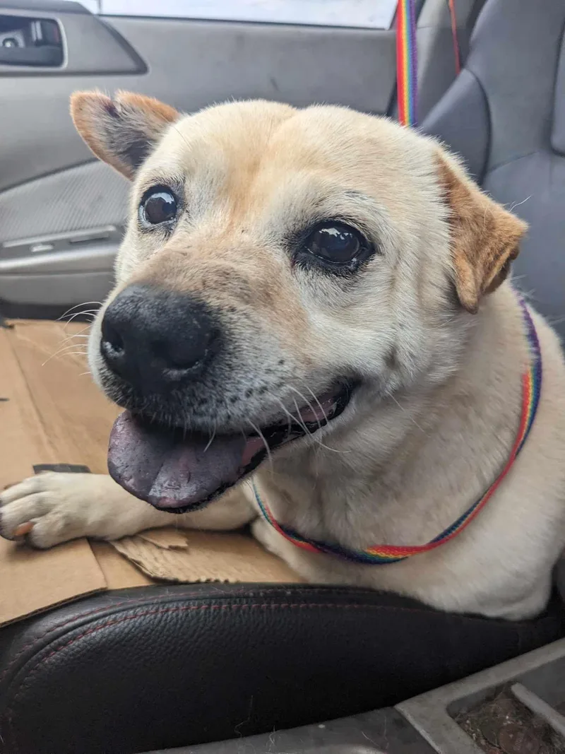 Peanut Aka Busby thumbnail 2