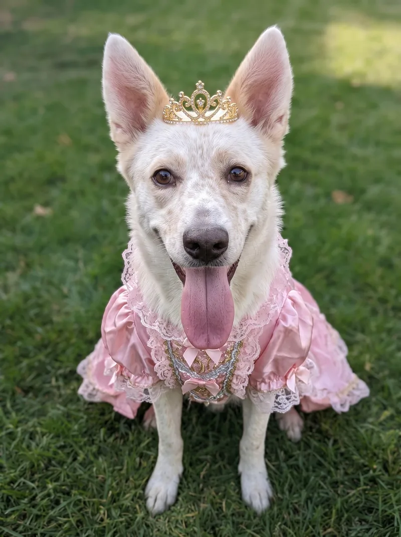 Princess thumbnail 2