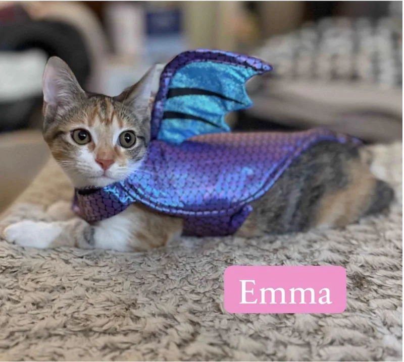 Emma thumbnail 2