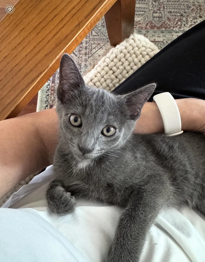 Oliver