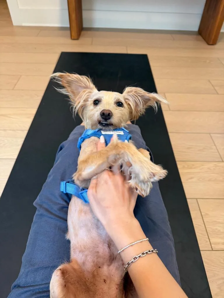 Peanut thumbnail 3