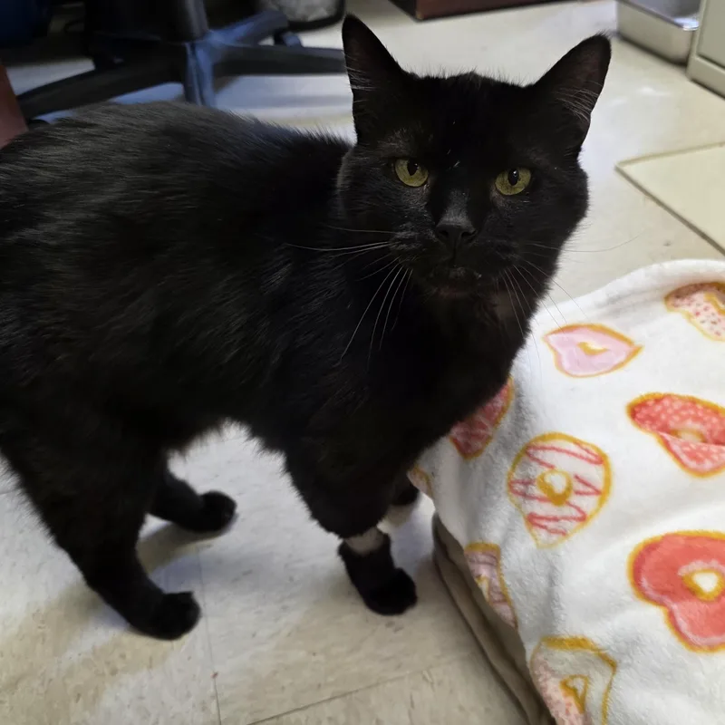 December thumbnail 2