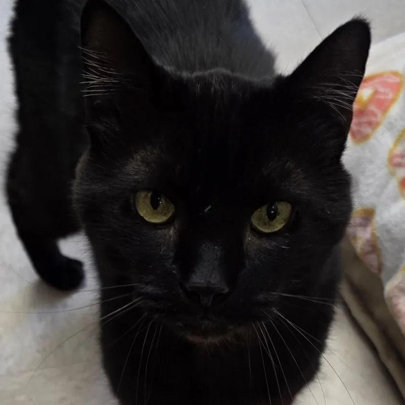 December thumbnail 3