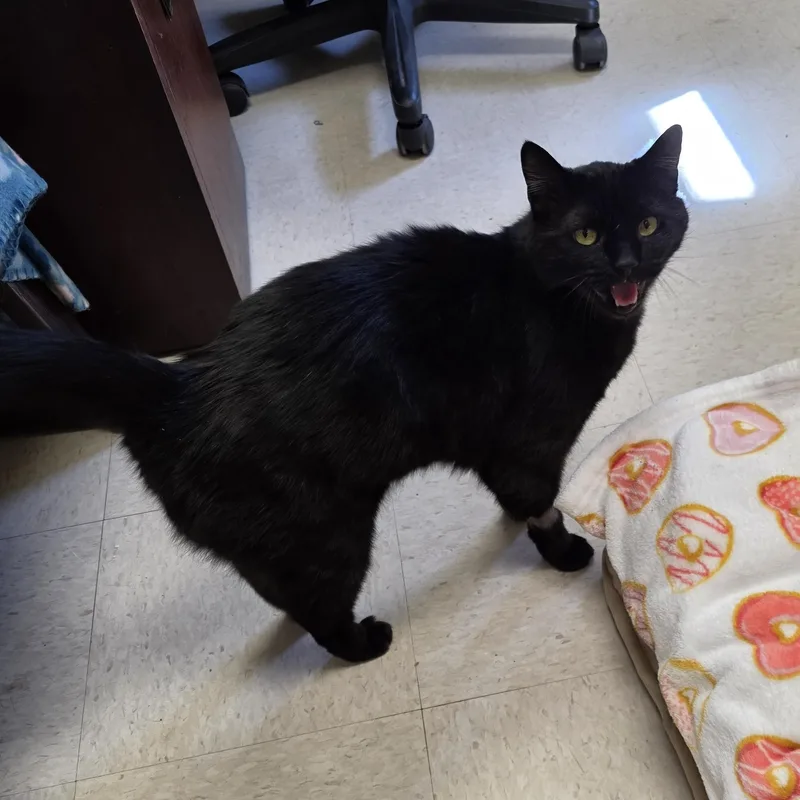 December thumbnail 4