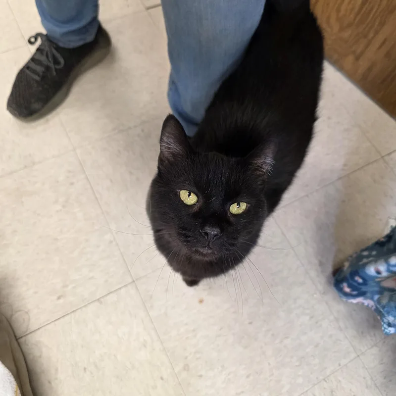 December thumbnail 5