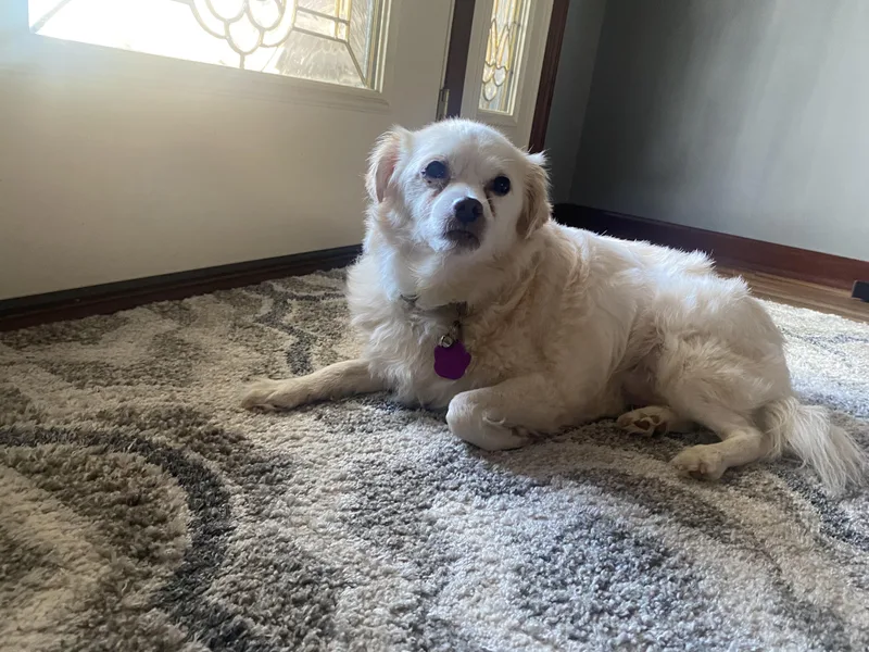 Deliliah thumbnail 2