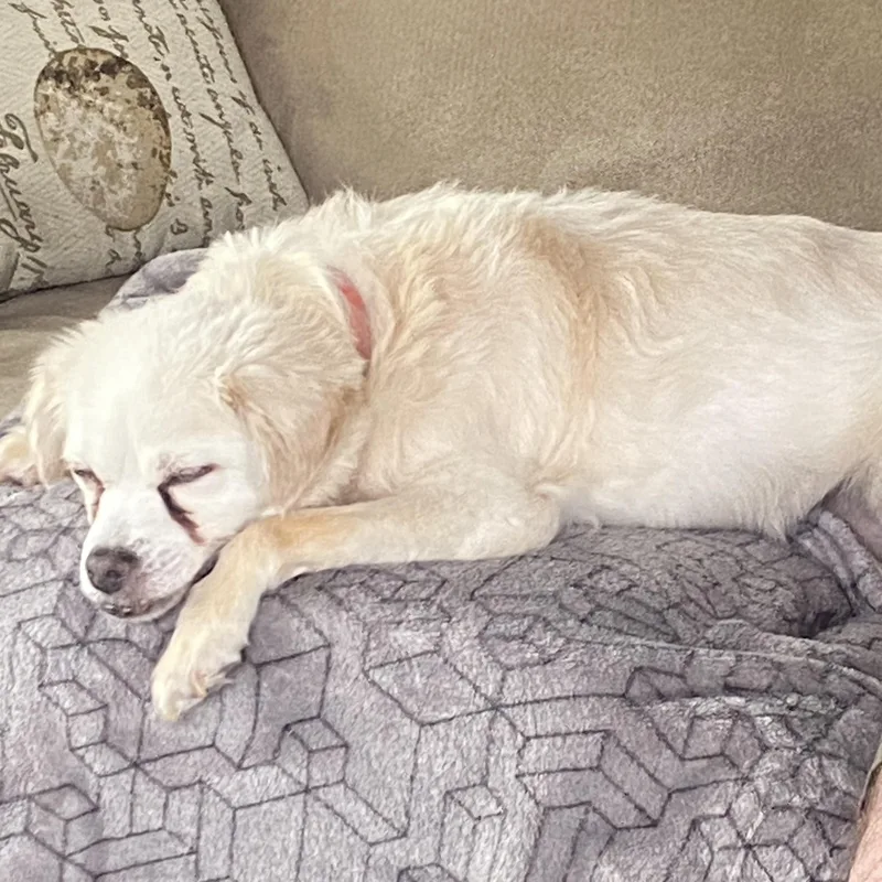 Deliliah thumbnail 3