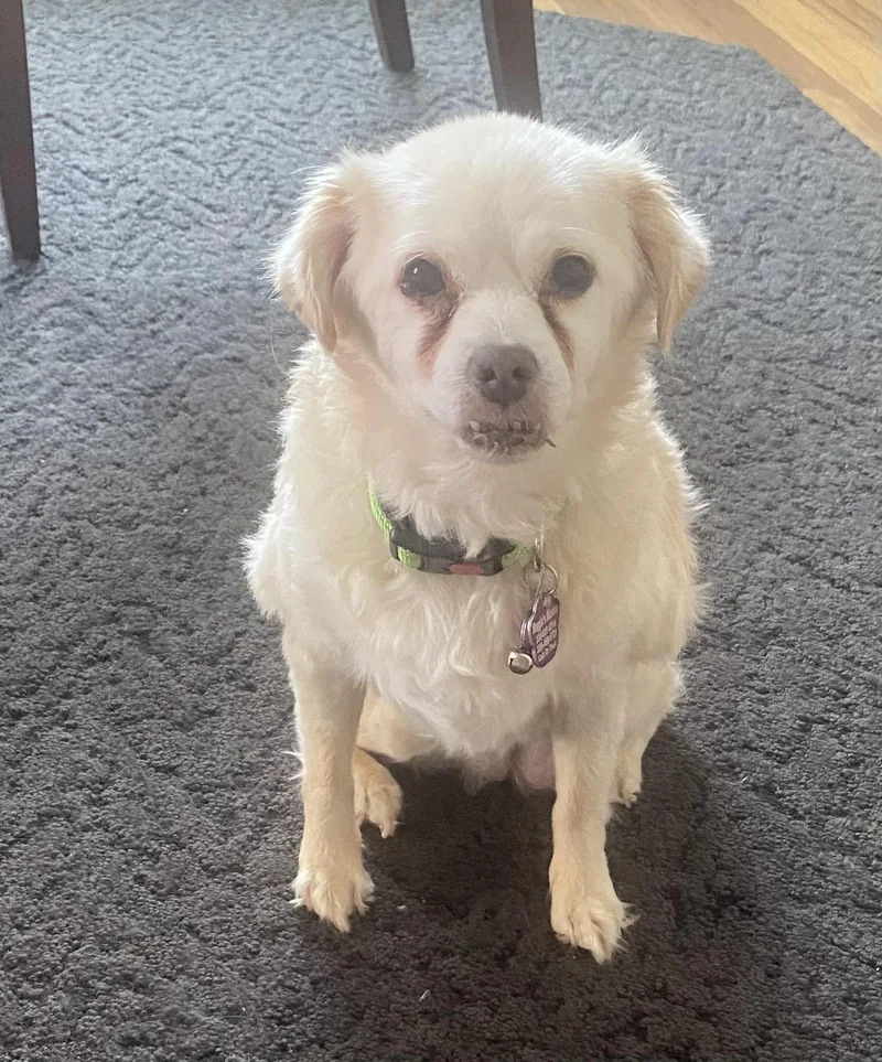 Deliliah thumbnail 4