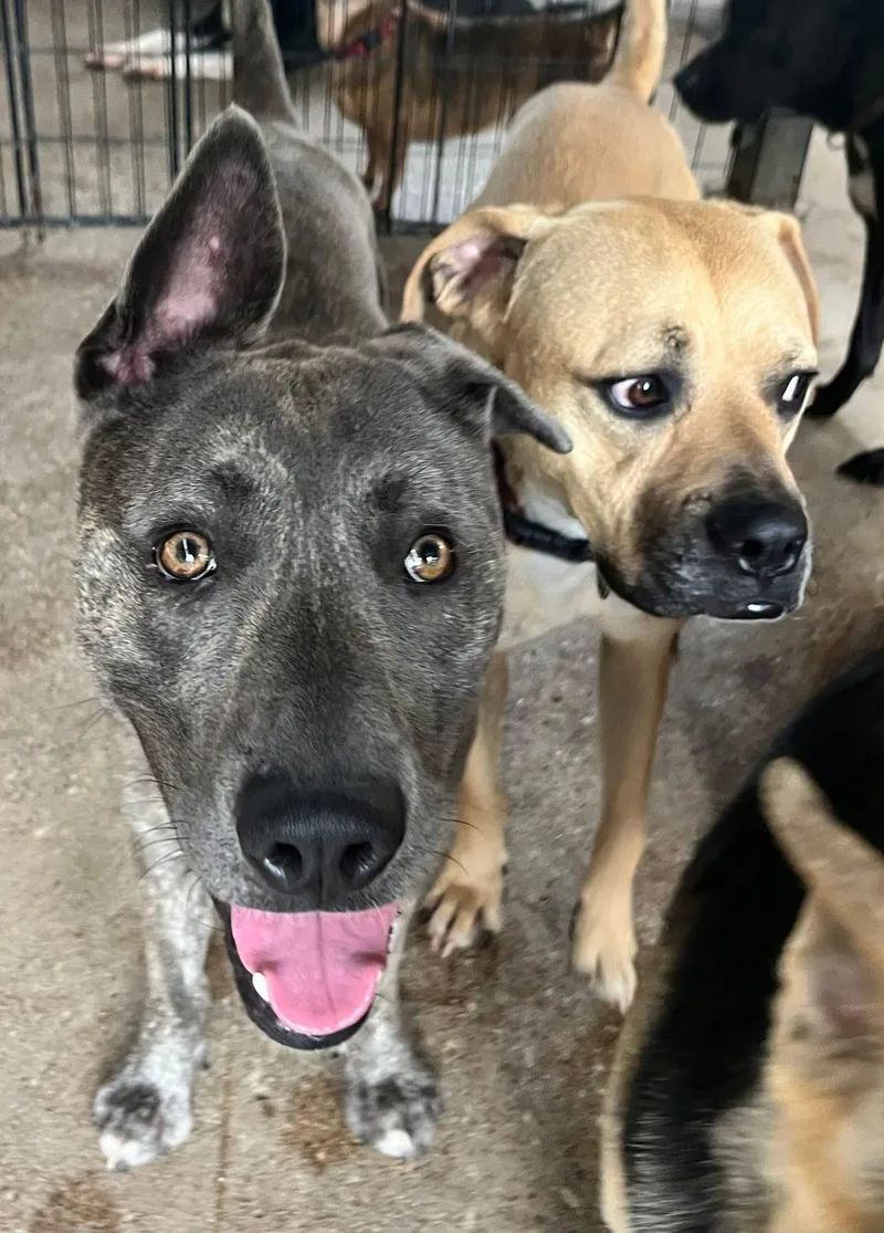 Rocky Warehouse J thumbnail 2