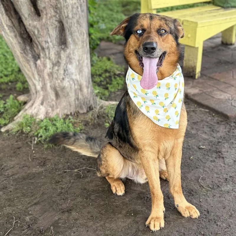Keanu thumbnail 6