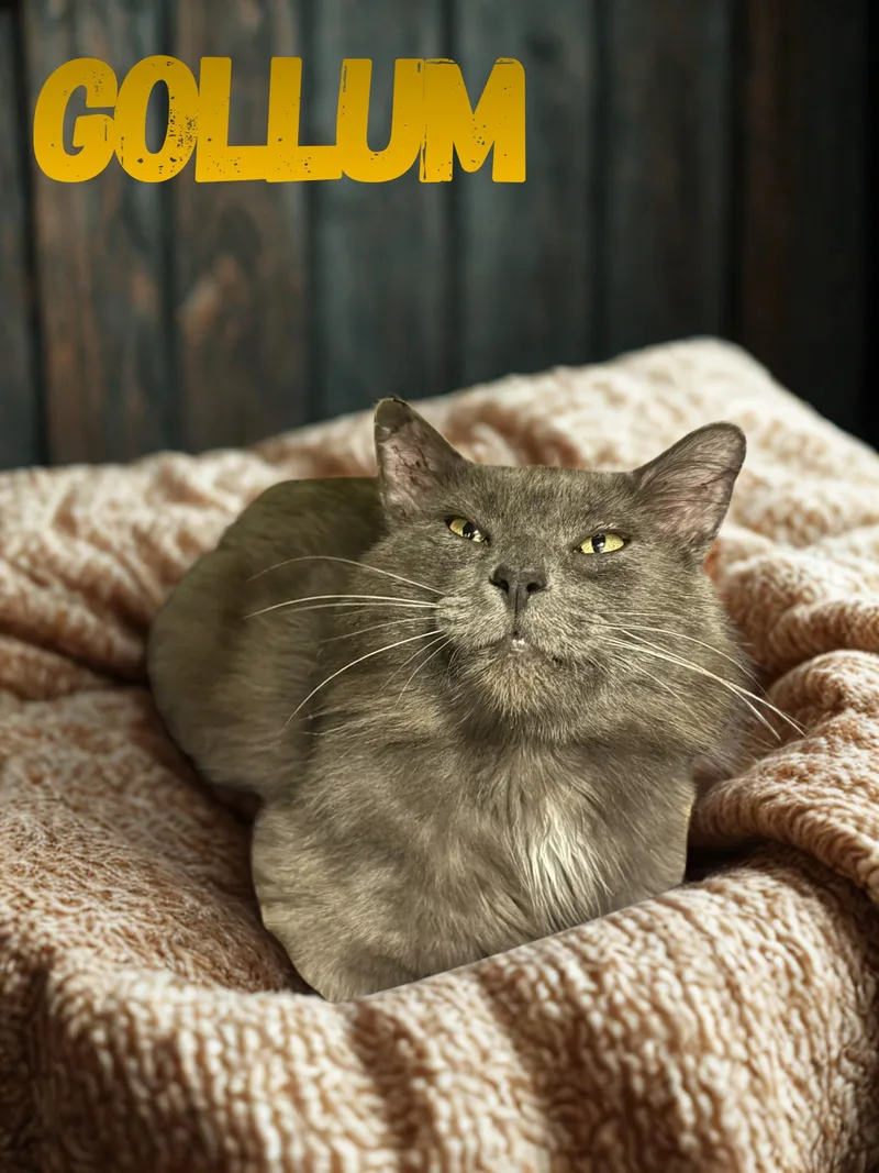 Gollum