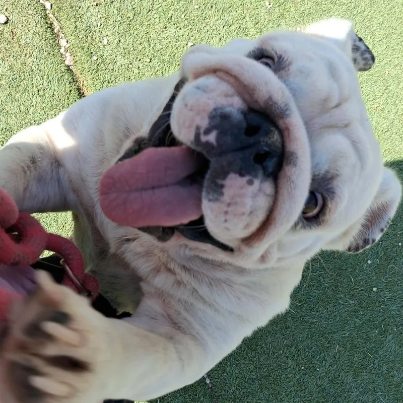 Maggie  COMING SOON thumbnail 2
