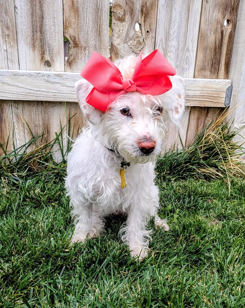 Elsa Puff thumbnail 2
