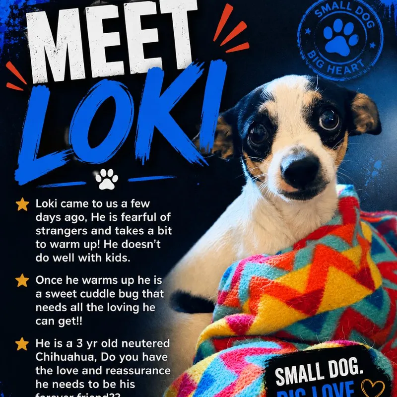 Loki