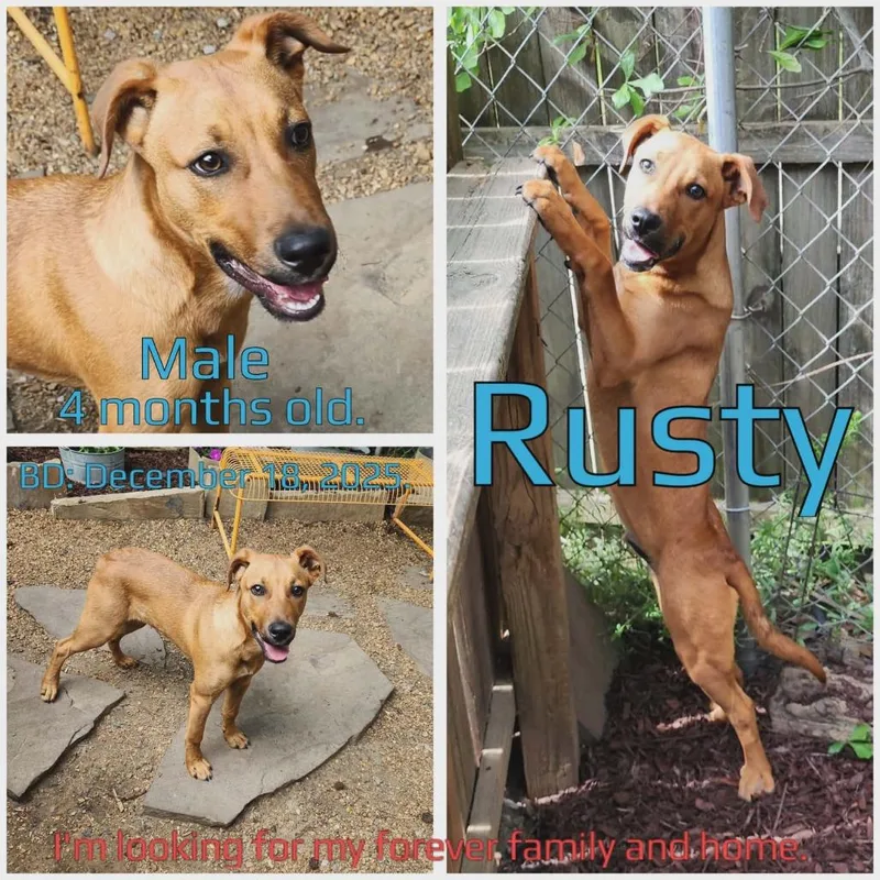 Rusty