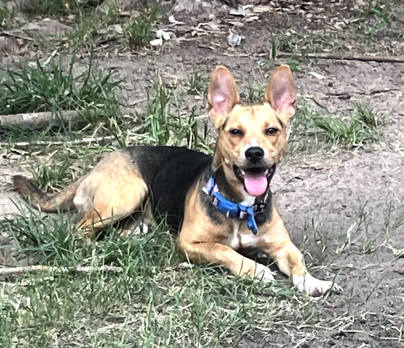 Toby  Mr. Cutie thumbnail 3