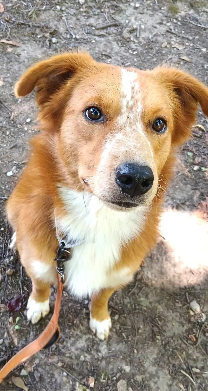 Freckles thumbnail 3